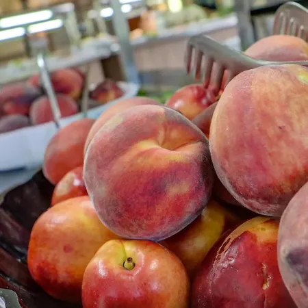 Hotell Kini Park & Free Parking Golden Sands